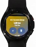 Detalhes de corrida para reenviar